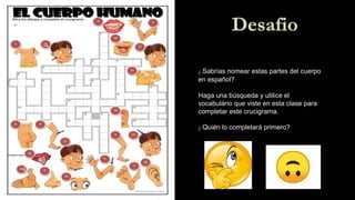 ¿ Sabrías nomear estas partes del cuerpo
en español?
Haga una búsqueda y utilice el
vocabulário que viste en esta clase para
completar este crucigrama.
¿ Quién lo completará primero?
 