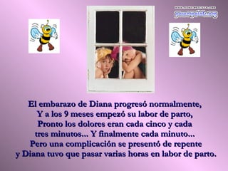 El embarazo de Diana progresó normalmente,  Y a los 9 meses empezó su labor de parto,  Pronto los dolores eran cada cinco y cada  tres minutos... Y finalmente cada minuto...  Pero una complicación se presentó de repente y Diana tuvo que pasar varias horas en labor de parto.   