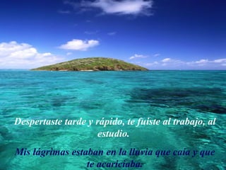 Despertaste tarde y rápido, te fuiste al trabajo, al estudio.  Mis lágrimas estaban en la lluvia que caía y que te acariciaba. 