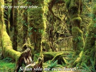 Hoy te ves muy triste…. Si tan sólo me escucharas!….. 