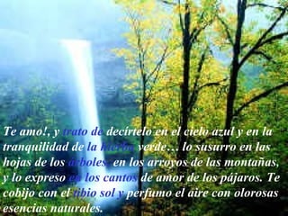 Te amo!, y   trato de   decírtelo en el cielo azul y en la   tranquilidad de   la hierba   verde… lo susurro en las   hojas de los   árboles,   en los arroyos de las montañas ,  y lo expreso   en los cantos  de amor de los pájaros.   Te cobijo con el   tibio sol y  perfumo el aire con olorosas esencias naturales. 