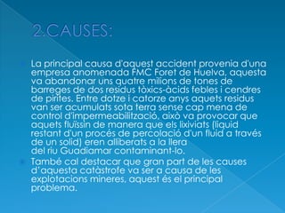  La principal causa d'aquest accident provenia d'una
empresa anomenada FMC Foret de Huelva, aquesta
va abandonar uns quatre milions de tones de
barreges de dos residus tòxics-àcids febles i cendres
de pirites. Entre dotze i catorze anys aquets residus
van ser acumulats sota terra sense cap mena de
control d'impermeabilització, això va provocar que
aquets fluïssin de manera que els lixiviats (liquid
restant d'un procés de percolació d'un fluid a través
de un solid) eren alliberats a la llera
del riu Guadiamar contaminant-lo.
 També cal destacar que gran part de les causes
d’aquesta catàstrofe va ser a causa de les
explotacions mineres, aquest és el principal
problema.
 