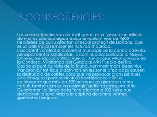 Les conseqüencies van ser molt greus, es va vessa cinc milions
de metres cúbics d'aigua àcida aniquilant més de 4600
hectàrees de cultiu afectan a l'espai protegit de Doñana, que
es un dels majors emblemes naturals d' Europa.
L'accident va afectar a diversos municipis de la conca a Sevilla,
principalment a Aznalcollar i a continuació: Sanlúcar la Mayor,
Olivares, Benacazón, Pilas, Huévar, Aznalcázar,Villamanrique de
la Condesa, Villafranco del Guadalquivir i Puebla del Río.
Des de el punt de vista de la fauna, van morir molts éssers vius.
Van prohibir tot tipus d'activitats en les zones afectades causen
la destrucció de collites,cosa que va provocar grans pèrdues
econòmiques i pèrdua de 4500 hectàrees de cultius.
va provocar que més de 500 persones es quedessin sense
treball, també com es va restringir l'activitat pesquera al riu
Guadiamar i al Brazo de la Torre afectan a 100 veins que
dedicavan la seva vida a la captura del cranc vermell,
gambetes i angules.
 