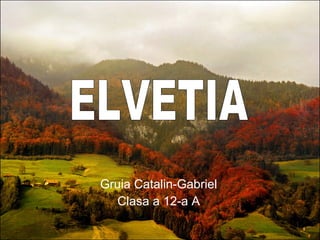 Gruia Catalin-Gabriel Clasa a 12-a A ELVETIA 