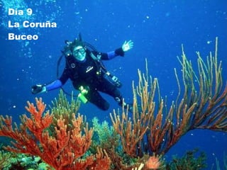 Día 9    La Coruña  Buceo 
