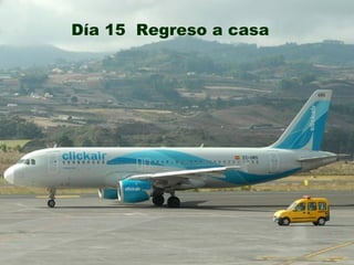 Día 15  Regreso a casa 