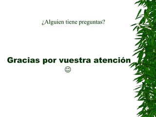 Gracias por vuestra atención    ¿Alguien tiene preguntas? 