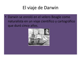 El viaje de Darwin
• Darwin se enroló en el velero Beagle como
  naturalista en un viaje científico y cartográfico
  que duró cinco años.
 
