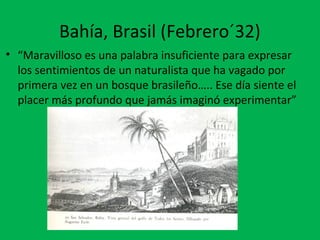 Bahía, Brasil (Febrero´32) 
• “Maravilloso es una palabra insuficiente para expresar 
los sentimientos de un naturalista que ha vagado por 
primera vez en un bosque brasileño….. Ese día siente el 
placer más profundo que jamás imaginó experimentar” 
 