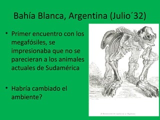 Bahía Blanca, Argentina (Julio´32) 
• Primer encuentro con los 
megafósiles, se 
impresionaba que no se 
parecieran a los animales 
actuales de Sudamérica 
• Habría cambiado el 
ambiente? 
 