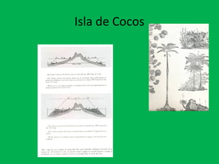 Isla de Cocos 
 