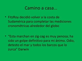 Camino a casa… 
• FitzRoy decidió volver a la costa de 
Sudamérica para completar las mediciones 
cronométricas alrededor del globo 
• “Esta marchan en zig-zag es muy penosa; ha 
sido un golpe definitivo para mi ánimo. Odio, 
detesto el mar y todos los barcos que lo 
zurca” Darwin 
 