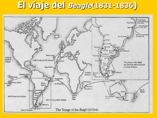 El viaje del  Beagle (1831-1836 ) 