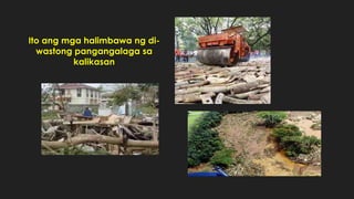 Ito ang mga halimbawa ng di-
wastong pangangalaga sa
kalikasan
 