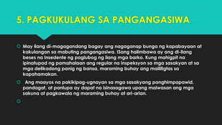5. PAGKUKULANG SA PANGANGASIWA
 May ilang di-magagandang bagay ang nagaganap bunga ng kapabayaan at
kakulangan sa mabuting pangangasiwa. ISang halimbawa ay ang di-ilang
beses na insedente ng paglubog ng ilang mga barko. Kung mahigpit na
ipinatupad ng pamahalaan ang regular na inspeksyon sa mga sasakyan at sa
mga delikadong panig ng bansa, maraming buhay ang maililigtas sa
kapahamakan.
 Ang maayos na pakikipag-ugnayan sa mga sasakyang panghimpapawid,
pandagat, at panlupa ay dapat na isinasagawa upang maiwasan ang mga
sakuna at pagkawala ng maraming buhay at ari-arian.

 