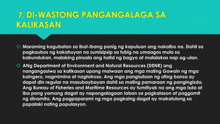 7. DI-WASTONG PANGANGALAGA SA
KALIKASAN
 Maraming kagubatan sa ibat-ibang panig ng kapuluan ang nakalbo na. Dahil sa
pagkaubos ng kakahuyan na sumisipsip sa tubig na umaagos mula sa
kabundukan, malaking pinsala ang hatid ng bagyo at malalakas nap ag-ulan.
 ANg Department of Environment and Natural Resources (DENR) ang
nangangasiwa sa kalikasan upang maiwaan ang mga maling Gawain ng mga
kaingero, nagmimina at nagtotroso. Ang mga pangisdaan ng ating bansa ay
dapat din regular na masubaybayan dahil sa maling pamaraan ng pangingisda.
Ang Bureau of Fisheries and Maritime Resources ay tumitiyak na ang mga isda at
iba pang yamang dagat ay napangalagaan laban sa pagkalason at paggamit
ng dinamita. Ang pagpaparami ng mga pagkaing dagat ay makatulong sa
papalaki nating populasyon.
 
