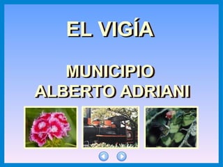 EL VIGÍA
MUNICIPIO
ALBERTO ADRIANI
EL VIGÍAEL VIGÍA
MUNICIPIOMUNICIPIO
ALBERTO ADRIANIALBERTO ADRIANI
 