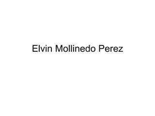 Elvin Mollinedo Perez 