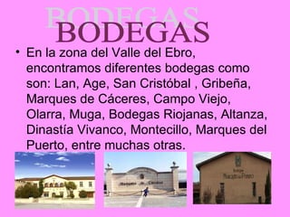 En la zona del Valle del Ebro, encontramos diferentes bodegas como son: Lan, Age, San Cristóbal , Gribeña, Marques de Cáceres, Campo Viejo, Olarra, Muga, Bodegas Riojanas, Altanza, Dinastía Vivanco, Montecillo, Marques del Puerto, entre muchas otras. BODEGAS 