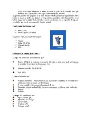 pulpa, y atractivos colores en el hollejo, es dorar la pepita a los animales para que 
tornen la uva y la trasladen a otro lugar, donde ésta pueda enraizar. 
En general, cuanto más pequeña es la baya de una variedad, mayor es la proporción entre 
hollejo y mosto, y dado que taninos y componentes aromáticos están básicamente en el 
hollejo, mayor es la calidad de la variedad en ese aspecto, por eso se especifica de algunas 
variedades que son de grano menudo (ápetits grains). 
PARTES DEL RACIMO DE UVA 
 Rapa (2,5%) 
 Bayas o granos (95-98%) 
Los granos están, a su vez, formados por. 
 -Pecíolo 
 -Pulpa (80-85%) 
 -Piñones (2-6%) 
 -Piel 
COMPOSICION QUIMICA DE LA UVA 
La rapa esta compuesta principalmente por: 
Taninos (3%). Es la sustancia responsable del color, el gusto amargo, la astringencia, 
la capacidad de envejecer y el cuerpo del vino. 
Materias minerales Ca y K (2-3%) 
Agua (80%) 
La piel se compone de: 
Materias colorantes: Antocianatos (rojo) , Fíavonoides (amarillo). El vino tinto tiene 
ambos colorantes, el blanco solo flavonoides. 
Aromas varietales: Propios de cada variedad de uva. 
Sustancias pépticas: polisacáridos que a veces presentan problemas en la vinificación. 
Taninos 
Enzimas 
La pulpa esta conformada por: 
Agua: 740-800 g/l 
Azucares: 200-250 g/1 
Glucosa: 50% 
Fructosa. 50% 
Pentosas <2 g/l 
 