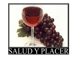 El vino presentacion