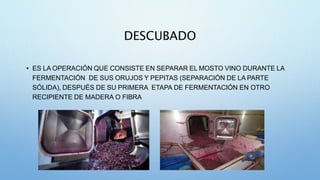 DESCUBADO
• ES LA OPERACIÓN QUE CONSISTE EN SEPARAR EL MOSTO VINO DURANTE LA
FERMENTACIÓN DE SUS ORUJOS Y PEPITAS (SEPARACIÓN DE LA PARTE
SÓLIDA), DESPUÉS DE SU PRIMERA ETAPA DE FERMENTACIÓN EN OTRO
RECIPIENTE DE MADERA O FIBRA
 