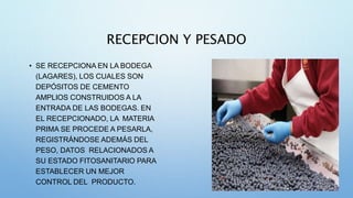 RECEPCION Y PESADO
• SE RECEPCIONA EN LA BODEGA
(LAGARES), LOS CUALES SON
DEPÓSITOS DE CEMENTO
AMPLIOS CONSTRUIDOS A LA
ENTRADA DE LAS BODEGAS. EN
EL RECEPCIONADO, LA MATERIA
PRIMA SE PROCEDE A PESARLA,
REGISTRÁNDOSE ADEMÁS DEL
PESO, DATOS RELACIONADOS A
SU ESTADO FITOSANITARIO PARA
ESTABLECER UN MEJOR
CONTROL DEL PRODUCTO.
 