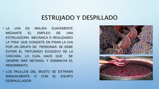 ESTRUJADO Y DESPILLADO
• LA UVA ES MOLIDA SUAVEMENTE
MEDIANTE EL EMPLEO DE UNA
ESTRUJADORA MECÁNICA O REALIZANDO
LA “PISA” QUE CONSISTE EN PISAR LA UVA
POR UN GRUPO DE PERSONAS. SE DEBE
EVITAR EL TRITURADO EXCESIVO DE LA
CÁSCARA, LO CUAL HACE QUE SE
GENERE MÁS METANOL Y DISMINUYA EL
RENDIMIENTO.
• LOS PALILLOS DEL MOSTO SE EXTRAEN
MANUALMENTE O CON EL EQUIPO
DESPALILLADOR
 
