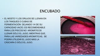 ENCUBADO
• EL MOSTO Y LOS ORUJOS SE LLENAN EN
LOS TANQUES O CUBAS DE
FERMENTACIÓN DEJANDO 1/4 DE SU
CAPACIDAD VACÍO. ES RECOMENDABLE
PARA LOS PISCOS NO AROMÁTICOS
LLENAR SÓLO EL JUGO, MIENTRAS QUE,
PARA LAS VARIEDADES AROMÁTICAS, SE
PODRÁ UTILIZAR EL JUGO MÁS LA
CÁSCARA O SÓLO EL JUGO.
 
