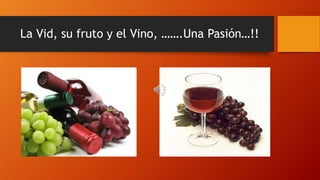 La Vid, su fruto y el Vino, …….Una Pasión…!! 
 