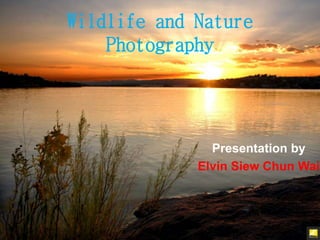 Wildlife and Nature
Photography
Presentation by
Elvin Siew Chun Wai
 