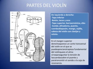 PARTES DEL VIOLÍN