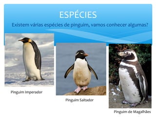 ESPÉCIES
∗ Existem várias espécies de pinguim, vamos conhecer algumas?




 Pinguim Imperador

                         Pinguim Saltador


                                              Pinguim de Magalhães
 