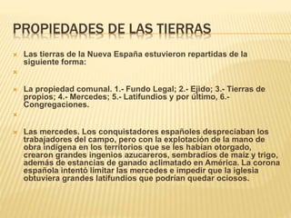 El virreinato y el impacto de su implementacion | PPTX