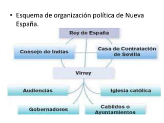 • Esquema de organización política de Nueva
España.
 
