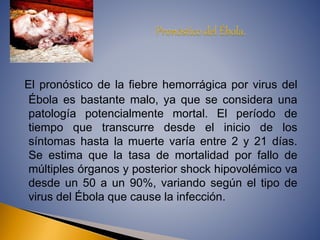El pronóstico de la fiebre hemorrágica por virus del 
Ébola es bastante malo, ya que se considera una 
patología potencialmente mortal. El período de 
tiempo que transcurre desde el inicio de los 
síntomas hasta la muerte varía entre 2 y 21 días. 
Se estima que la tasa de mortalidad por fallo de 
múltiples órganos y posterior shock hipovolémico va 
desde un 50 a un 90%, variando según el tipo de 
virus del Ébola que cause la infección. 
 