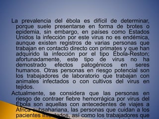 La prevalencia del ébola es difícil de determinar, 
porque suele presentarse en forma de brotes o 
epidemia, sin embargo, en países como Estados 
Unidos la infección por este virus no es endémica, 
aunque existen registros de varias personas que 
trabajan en contacto directo con primates y que han 
adquirido la infección por el tipo Ébola-Reston; 
afortunadamente, este tipo de virus no ha 
demostrado efectos patogénicos en seres 
humanos. Otras personas en riesgo potencial son 
los trabajadores de laboratorio que trabajan con 
animales infectados o con cultivos del virus en 
tejidos. 
Actualmente, se considera que las personas en 
riesgo de contraer fiebre hemorrágica por virus del 
Ébola son aquellas con antecedentes de viajes a 
África subsahariana, las personas que cuidan a los 
pacientes infectados, así como los trabajadores que 
se encuentran en contacto con primates infectados 
 
