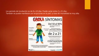 Los periodo de incubación es de 8 a 10 días. Puede variar entre 2 y 21 días.
También se puede manifestar por erupciones en la piel. La tasa de mortalidad es muy alta.