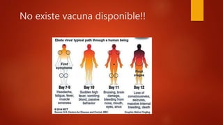 No existe vacuna disponible!!