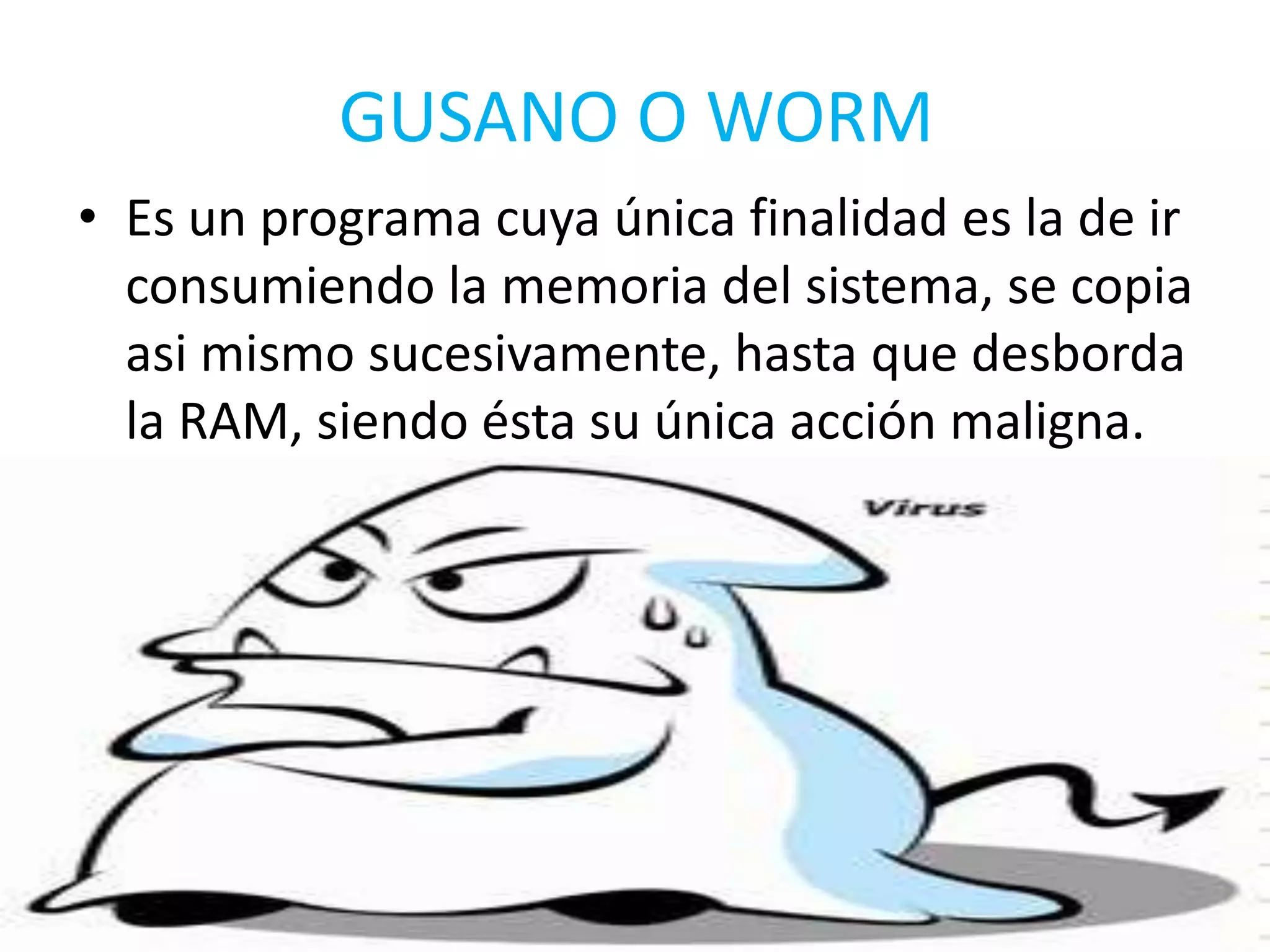 GUSANO O WORMEs un programa cuya única finalidad es la de ir consumiendo la memoria del sistema, se copia asi mismo sucesivamente, hasta que desborda la RAM, siendo ésta su única acción maligna.
