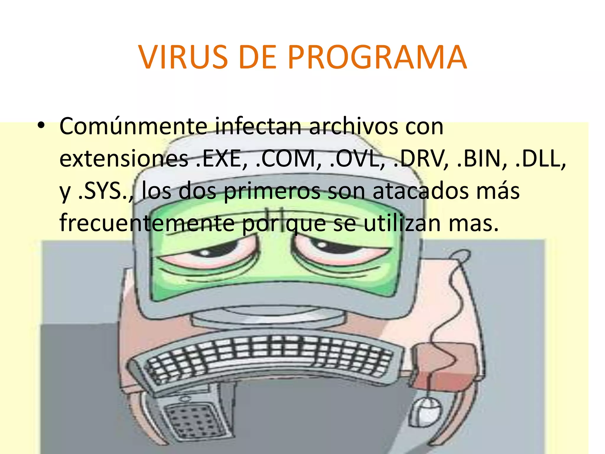 VIRUS DE PROGRAMAComúnmente infectan archivos con extensiones .EXE, .COM, .OVL, .DRV, .BIN, .DLL, y .SYS., los dos primeros son atacados más frecuentemente por que se utilizan mas.