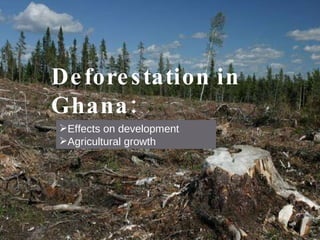 Deforestation in Ghana: ,[object Object],[object Object]