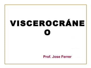 VISCEROCRÁNEO Prof. Jose Ferrer 