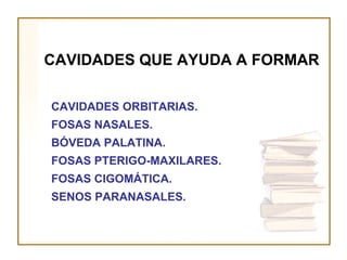 CAVIDADES QUE AYUDA A FORMAR

CAVIDADES ORBITARIAS.
FOSAS NASALES.
BÓVEDA PALATINA.
FOSAS PTERIGO-MAXILARES.
FOSAS CIGOMÁTICA.
SENOS PARANASALES.
 