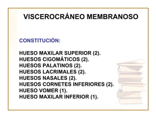VISCEROCRÁNEO MEMBRANOSO


CONSTITUCIÓN:

HUESO MAXILAR SUPERIOR (2).
HUESOS CIGOMÁTICOS (2).
HUESOS PALATINOS (2).
HUESOS LACRIMALES (2).
HUESOS NASALES (2).
HUESOS CORNETES INFERIORES (2).
HUESO VOMER (1).
HUESO MAXILAR INFERIOR (1).
 