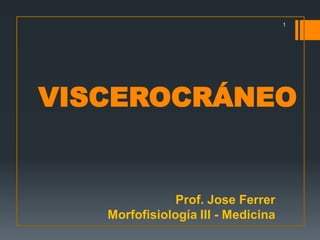 VISCEROCRÁNEO
Prof. Jose Ferrer
Morfofisiología III - Medicina
1
 