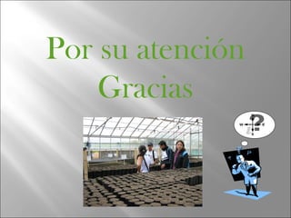 Por su atención
    Gracias
 