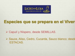  Capulí y Níspero, desde SEMILLAS.
 Sauce, Aliso, Cedro, Cucarda, Sauco blanco; desde
ESTACAS.
 