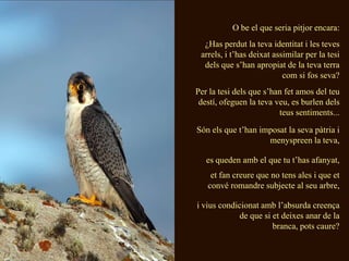 O be el que seria pitjor encara:
  ¿Has perdut la teva identitat i les teves
 arrels, i t’has deixat assimilar per la tesi
  dels que s’han apropiat de la teva terra
                           com si fos seva?
Per la tesi dels que s’han fet amos del teu
 destí, ofeguen la teva veu, es burlen dels
                         teus sentiments...

Són els que t’han imposat la seva pàtria i
                    menyspreen la teva,

   es queden amb el que tu t’has afanyat,
    et fan creure que no tens ales i que et
   convé romandre subjecte al seu arbre,

i vius condicionat amb l’absurda creença
             de que si et deixes anar de la
                       branca, pots caure?
 