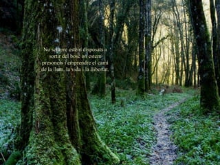 No sempre estem disposats a
    sortir del bosc on estem
presoners i emprendre el camí
de la llum, la vida i la llibertat.
 